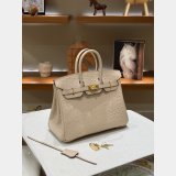 Hermes birkin 25cm calf Leather ostrich Vein bag