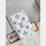 Inspired Brazza Multiple Pocket Organizer Zippy Wallet Vertical LV Bag