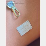 Louis Vuitton Low Key Hobo PM Perfect M25352 Bag