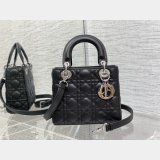 Replica Handbag Store DIOR lady 17/20/24CM calf togo leather bag