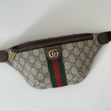Gucci First Ophidia Small Belt 839106 Bag