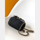 Louis Vuitton Replica M25219 Vanity Pouch Bag