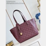Louis Vuitton All In One PM M25858/M25890 Monogram Empreinte Bag