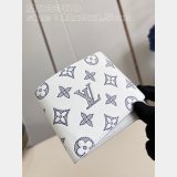 Inspired Brazza Multiple Pocket Organizer Zippy Wallet Vertical LV Bag