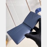 Inspired Brazza Multiple Pocket Organizer Zippy Wallet Vertical LV Bag