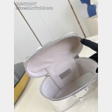 Louis Vuitton Vanity Chain Pouch Other Monogram Canvas LV Ski M26097 Bag