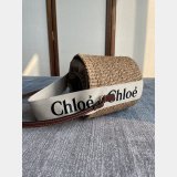 Fashion Replica Handbag Store Small Woody Basket handbag for sale