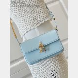 Louis Vuitton  Wallet On Chain LV Bloom M14564/M14547/M14581/M14548 Bag