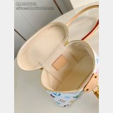 Louis Vuitton Inspired LV x TM Vanity Chain Pouch Monogram Canvas M13662 Bag