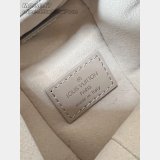 Louis Vuitton Side Trunk PM Iconic M14571 Replica Bag