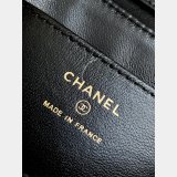 1:1 Mirror AP4677 Zipped Women's Luxury Woc Bag