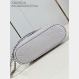 Louis Vuitton M13593 New Vanity Chain Pouch Copy Bag
