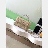 AAA+ AP3238 Flap Phone Holder With Chain Grained Shiny Bag