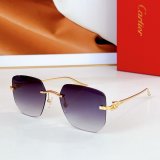 2025 Hot Selling Cartier Sunglasses CT0549S