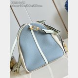 Louis Vuitton Top Quality M13668 Replica Handbag Store Designer Bag