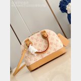 Louis Vuitton All In BB Monogram Canvas M27525 AAA+ Bag