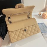 7 Star CC Small Flap Caviar Leather CF 23cm Bag