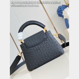 Louis Vuitton M48865 Black Ostrich Flower Ring Buckle Chain Capucines Bag