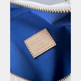 Replica Handbag Store Louis Vuitton N40712 Side Trunk MM Top Quality Bag