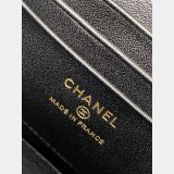 Luxury AP4325 Spring-Summer 2025 Wallet On Chain Lambskin Bag