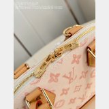 Louis Vuitton All In BB Monogram Canvas M27525 AAA+ Bag