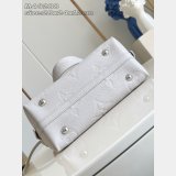 Louis Vuitton Luxury M12917 Replica Handbag Store CarryAll PM Bag