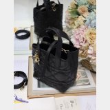 Small/Medium Dior Toujours Vertical Tote Bag