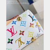 Louis Vuitton Carrycall East West Multicolor M27578 Bags