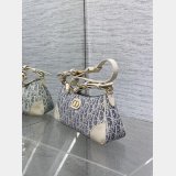 Dior 30 Montaigne Cigale Chain 7 Star 5867 Replicas Bag