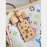 Louis Vuitton Carrycall East West Multicolor M27578 Bags