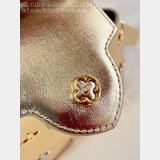 Louis Vuitton Capucines Designer 7 Star M48865 Golden Baby's Breath Bag
