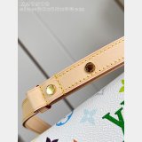 Louis Vuitton Carrycall East West Multicolor M27578 Bags