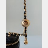 Fashion AP1447/AP2303 Vanity Of The 2024/25 Metiers Bag