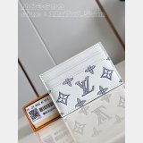 Inspired Brazza Multiple Pocket Organizer Zippy Wallet Vertical LV Bag