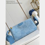 Louis Vuitton Pochette Accessories XL Damier Other N00204 Bag