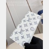 Inspired Brazza Multiple Pocket Organizer Zippy Wallet Vertical LV Bag