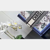 Christian Dior Fashion Totes Shoulder Handbag