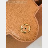 Louis Vuitton Luxury The Capucines M48865 Caramel Bag