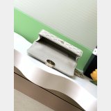 AAA+ AP3238 Flap Phone Holder With Chain Grained Shiny Bag