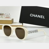 2025 CH 8048 Sunglasses