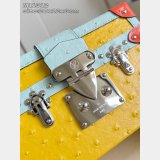 Louis Vuitton Petite Malle Fashion M11312 Bag