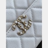 AAA+ AP3238 Flap Phone Holder With Chain Grained Shiny Bag