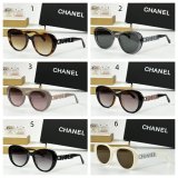2025 CH 8048 Sunglasses