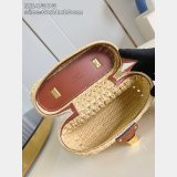 Louis Vuitton Vanity Chain Pouch M14303 Luxury Bags