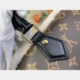 Louis Vuitton Speedy Soft 30 Teddy H33 LV Lcons M26326 Women Bags