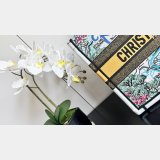 Christian Dior 7 Star Shoulder Totes Handbag