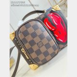 Louis Vuitton 1:1 Mirror Sawagani Trunk N40765 Bag