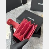 CC AP392 Accordion Card Holder