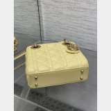Christian Dior Lady 17cm/20cm Designer Bag