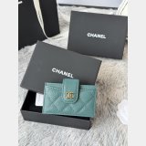 CC AP392 Accordion Card Holder